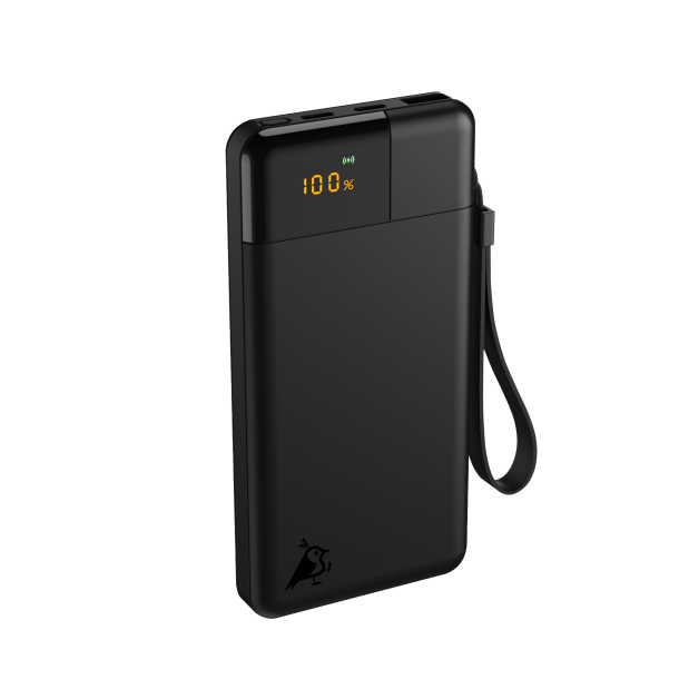 Powerbank